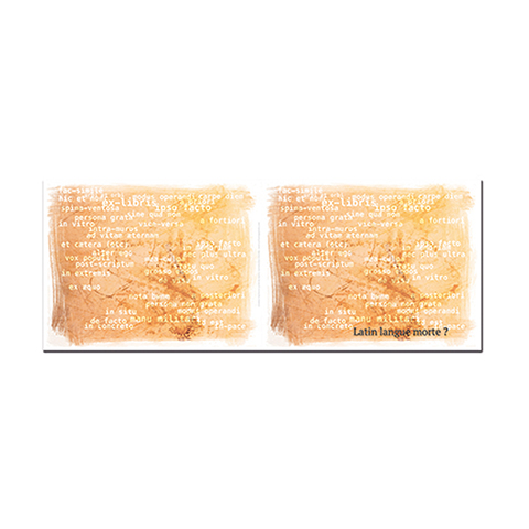 Cartonnage scolaire Chemise pour groupe 13x18/15x21/18x24 - Latin
