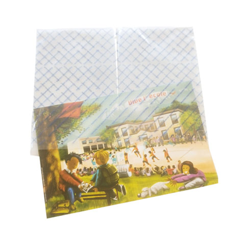 Sachet Polyéthylène 25x34 impression anti-scan